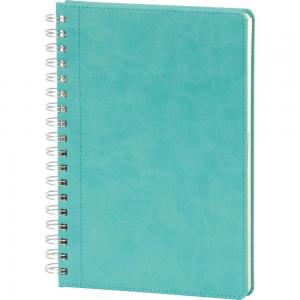 Spiralli Tarihsiz Defter ( 20 x 28 cm )